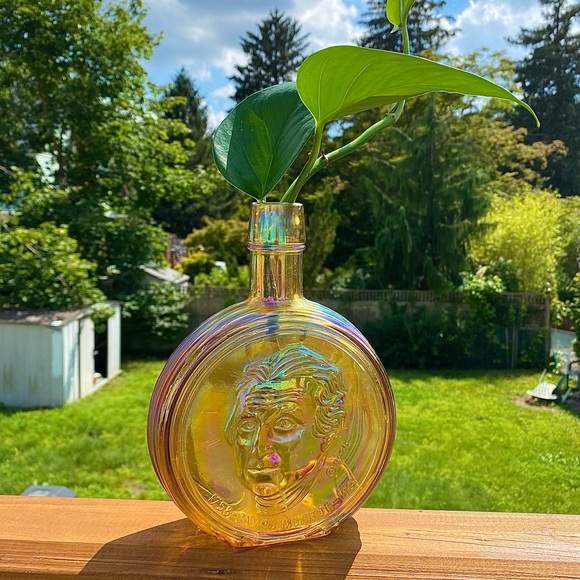 Propagation - Picture 3 of 10